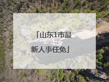 山东1市最新人事任免