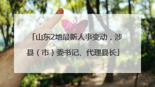 山东2地最新人事变动，涉县（市）委书记、代理县长