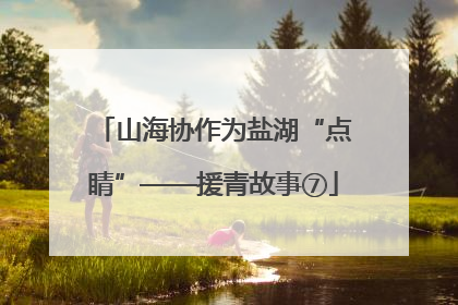 山海协作为盐湖“点睛”——援青故事⑦