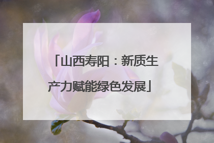 山西寿阳：新质生产力赋能绿色发展