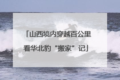 山西境内穿越百公里 看华北豹“搬家”记