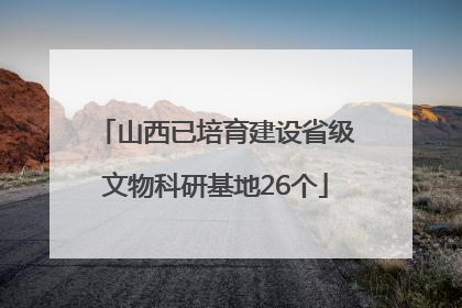 山西已培育建设省级文物科研基地26个