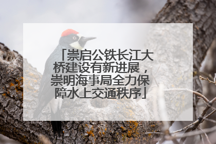 崇启公铁长江大桥建设有新进展，崇明海事局全力保障水上交通秩序