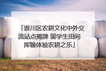 崇川区农耕文化中外交流站点揭牌 留学生田间挥镰体验农耕之乐