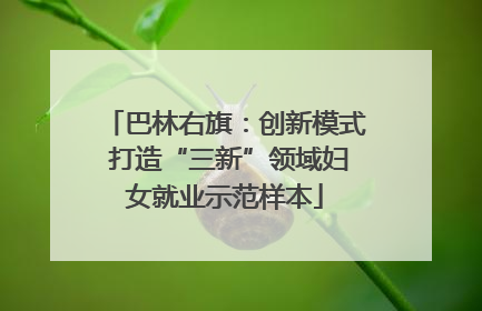 巴林右旗：创新模式 打造“三新”领域妇女就业示范样本