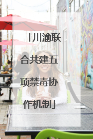 川渝联合共建五项禁毒协作机制
