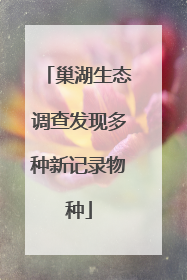 巢湖生态调查发现多种新记录物种