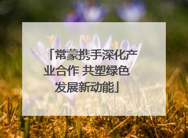 常蒙携手深化产业合作 共塑绿色发展新动能