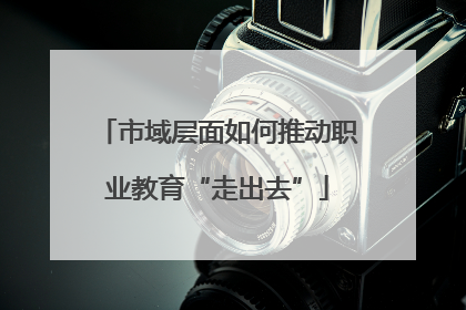 市域层面如何推动职业教育“走出去”