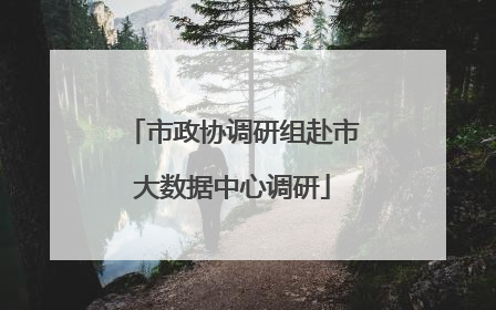 市政协调研组赴市大数据中心调研