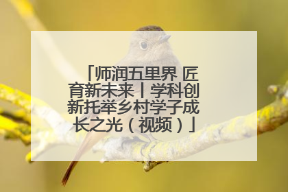 师润五里界 匠育新未来丨学科创新托举乡村学子成长之光（视频）