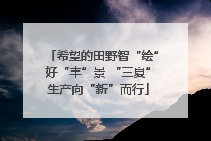 希望的田野智“绘”好“丰”景 “三夏”生产向“新”而行