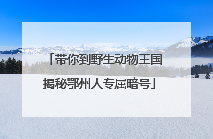 带你到野生动物王国揭秘鄂州人专属暗号