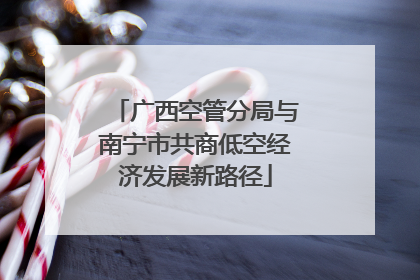 广西空管分局与南宁市共商低空经济发展新路径