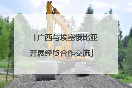 广西与埃塞俄比亚开展经贸合作交流