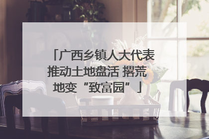 广西乡镇人大代表推动土地盘活 撂荒地变“致富园”