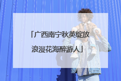 广西南宁秋英绽放 浪漫花海醉游人