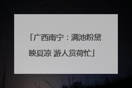 广西南宁：满池粉黛映夏凉 游人赏荷忙