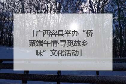 广西容县举办“侨聚端午情·寻觅故乡味”文化活动