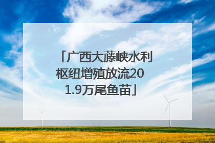 广西大藤峡水利枢纽增殖放流201.9万尾鱼苗