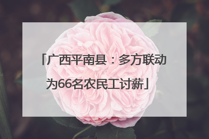 广西平南县：多方联动为66名农民工讨薪