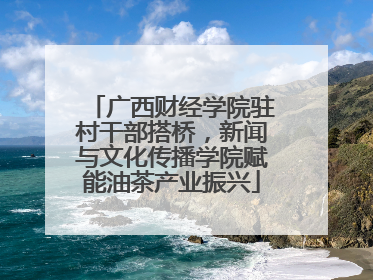 广西财经学院驻村干部搭桥，新闻与文化传播学院赋能油茶产业振兴