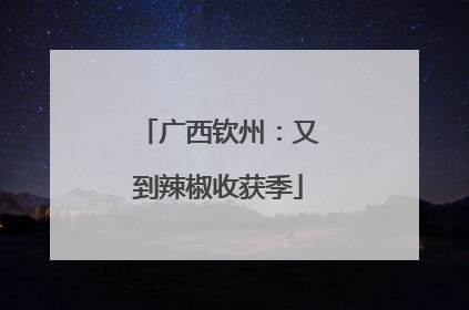 广西钦州：又到辣椒收获季