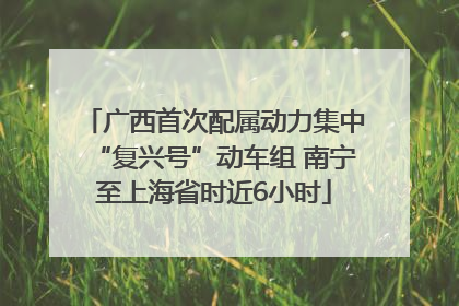 广西首次配属动力集中“复兴号”动车组 南宁至上海省时近6小时