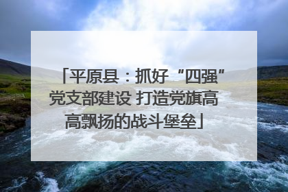 平原县：抓好“四强”党支部建设 打造党旗高高飘扬的战斗堡垒
