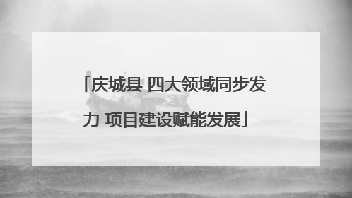 庆城县 四大领域同步发力 项目建设赋能发展
