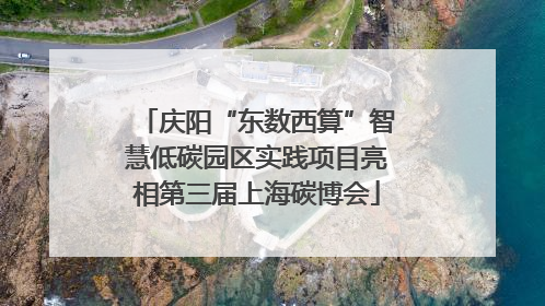 庆阳“东数西算”智慧低碳园区实践项目亮相第三届上海碳博会