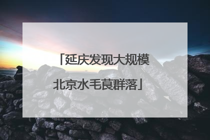 延庆发现大规模北京水毛茛群落