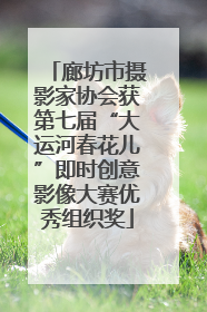 廊坊市摄影家协会获第七届“大运河春花儿”即时创意影像大赛优秀组织奖