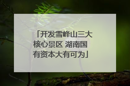 开发雪峰山三大核心景区 湖南国有资本大有可为