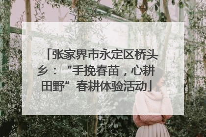 张家界市永定区桥头乡：“手挽春苗，心耕田野”春耕体验活动