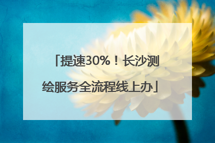 提速30%！长沙测绘服务全流程线上办