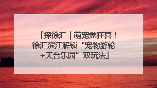 探徐汇｜萌宠党狂喜！徐汇滨江解锁“宠物游轮+天台乐园”双玩法
