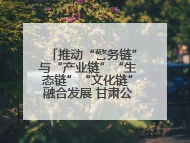 推动“警务链”与“产业链”“生态链”“文化链”融合发展 甘肃公安打造陇原旅游警务品牌