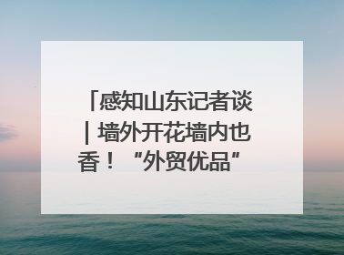 感知山东记者谈｜墙外开花墙内也香！“外贸优品”打通国内国际市场“旋转门”
