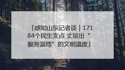 感知山东记者谈｜17184个民生支点 丈量出“服务淄博”的文明温度