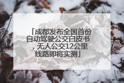 成都发布全国首份自动驾驶公交白皮书，无人公交12公里线路即将实测