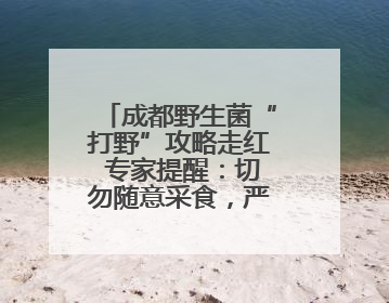 成都野生菌“打野”攻略走红 专家提醒：切勿随意采食，严重或致命