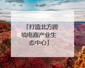 打造北方跨境电商产业生态中心
