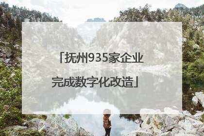 抚州935家企业完成数字化改造