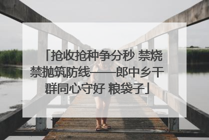 抢收抢种争分秒 禁烧禁抛筑防线——郎中乡干群同心守好 粮袋子