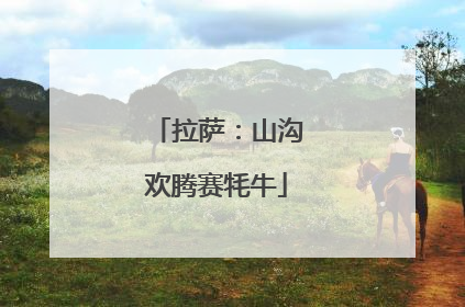 拉萨：山沟欢腾赛牦牛