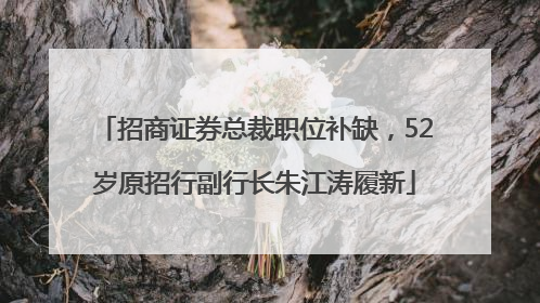 招商证券总裁职位补缺，52岁原招行副行长朱江涛履新