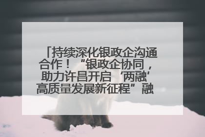持续深化银政企沟通合作！“银政企协同，助力许昌开启‘两融’高质量发展新征程”融资对接会举行