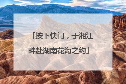 按下快门，于湘江畔赴湖南花海之约