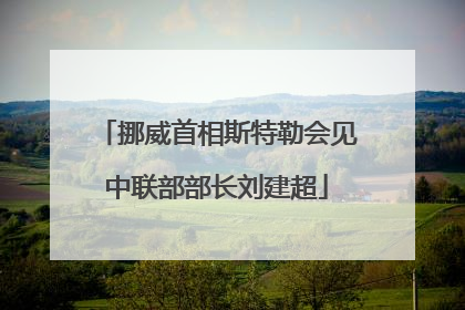 挪威首相斯特勒会见中联部部长刘建超